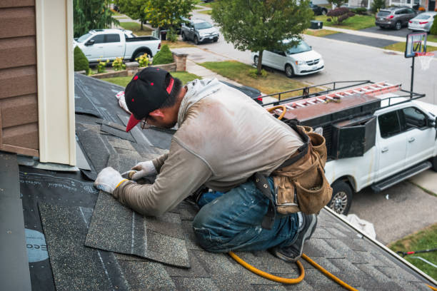 Professional Roof Replacement technician working in Encampment, WY